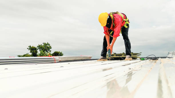 Best Rubber Roofing (EPDM, TPO)  in Reno, OH