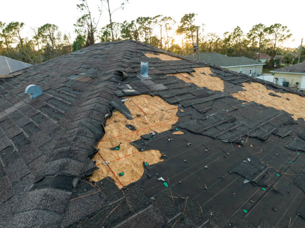 Best 4 Ply Roofing  in Reno, OH