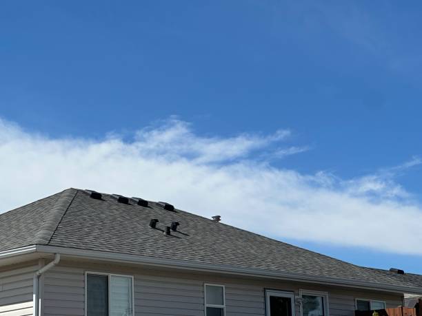 Gutter Replacement in Reno, OH