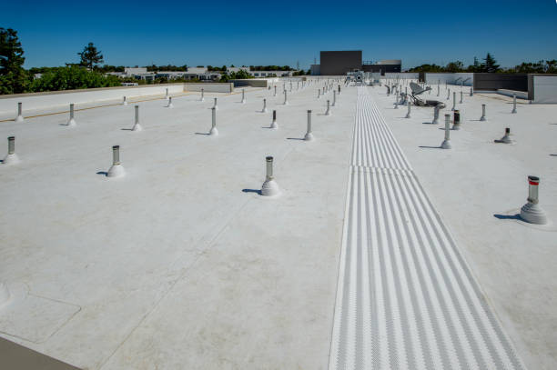 Best Storm Damage Roof Repair  in Reno, OH